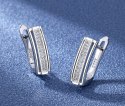 Silver earrings with zircons