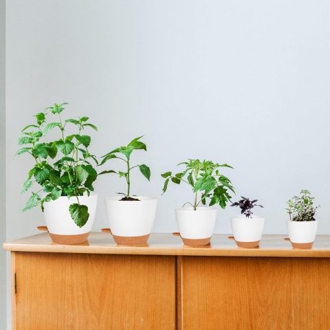 CSYY Doniczka na kwiaty, zestaw 7 sztuk z systemem nawadniania