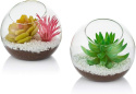 Szklane terrarium wazon na rośliny powietrzne, 10 cm,2 sztuki