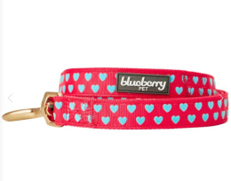 Blueberry Pet Klasyczna smycz Czerwona Rozmiar M 150cm