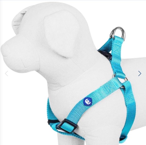 Blueberry Pet regulowane szelki dla psa niebieskie Rozmiar L