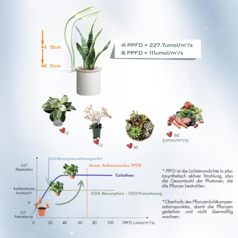 Diivoo Lampa LED do roślin pokojowych z programatorem