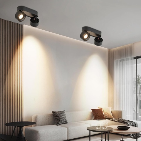 Budbuddy 12 W Lampa sufitowa LED z 2 obrotowymi reflektorami 4000K