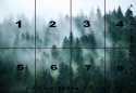 Fototapeta LAS ŚWIERKOWY WE MGLE 368 x 254 cm