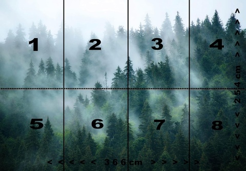 Fototapeta LAS ŚWIERKOWY WE MGLE 368 x 254 cm
