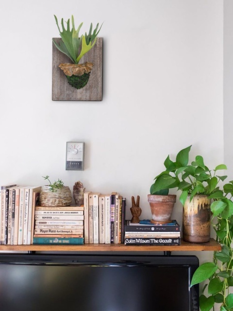 Oairse Sztuczne rośliny 34 cm, sztuczna paproć rogacza z kwietnikiem