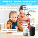 Monitor temperatury WiFi, inteligentny czujnik powiadomieniami, Alexa