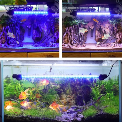 BELLALICHT 73 cm Oświetlenie LED akwariowa [białe niebieskie światło] z timerem,10 poziomów jasności, wodoszczelność IP67