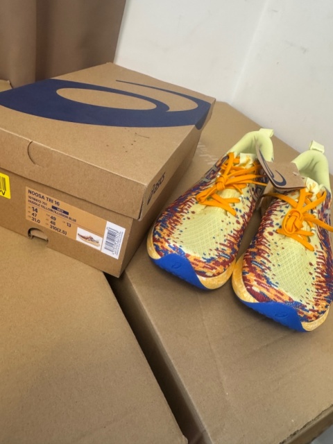 Asics Buty do biegania Noosa Tri 16 1011B872 Kolorowy 49 31 cm