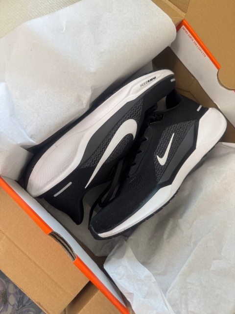 Nike Buty do biegania Air Zoom Pegasus 41 FD2722 002 Czarny 42.5 27 cm