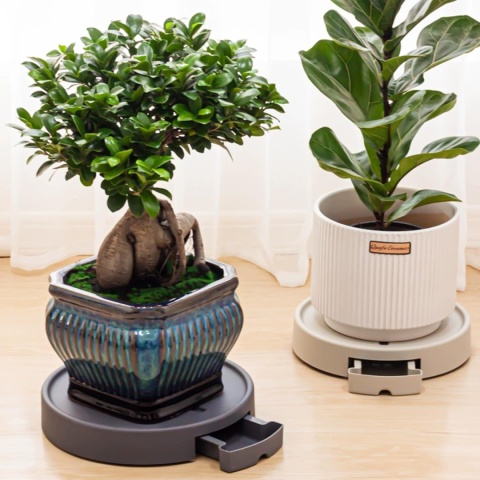 HEYQK Stojak na rośliny, niewidoczne kółka, do 200 kg 37 cm 2 sztuki