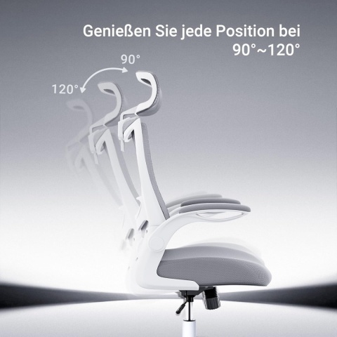 ACMELIFE Ergonomiczne krzesło biurowe z podparciem lędźwiowym