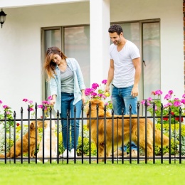 Ogrodzenie ogrodowe Thealyn z metalu dekoracyjnego (4 panele + 1 bramka)