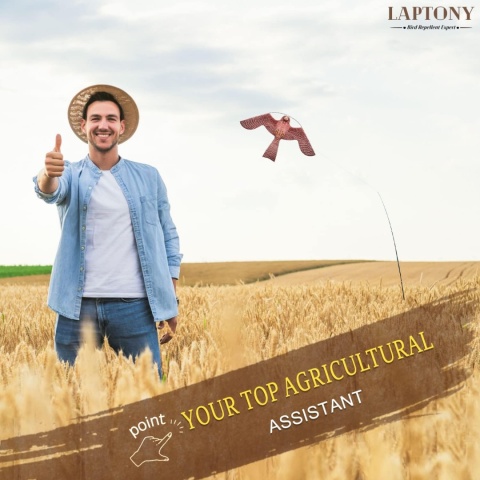 Laptony latawiec strach na wróble ptak do ogrodu pola odstraszacz ptaków