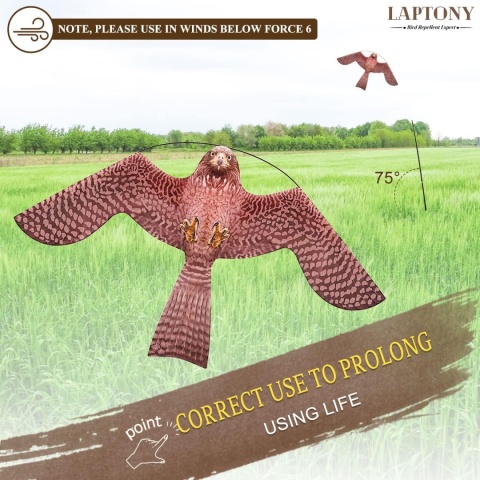 Laptony latawiec strach na wróble ptak do ogrodu pola odstraszacz ptaków