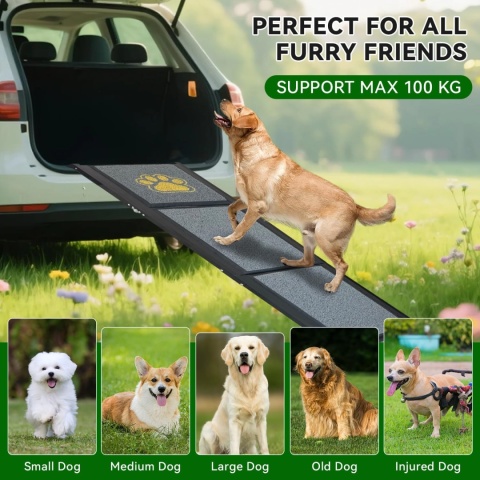 Składana rampa dla psów z dywanikiem antypoślizgowym, 180 x 50 cm, 129 kg