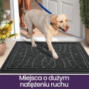 DEXI Wycieraczka do drzwi wejściowych, 90 x 150 cm, antypoślizgowa