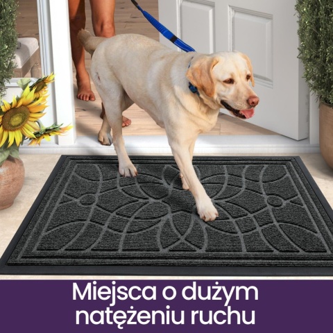 DEXI Wycieraczka do drzwi wejściowych, 90 x 150 cm, antypoślizgowa