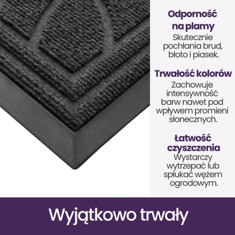 DEXI Wycieraczka do drzwi wejściowych, 90 x 150 cm, antypoślizgowa