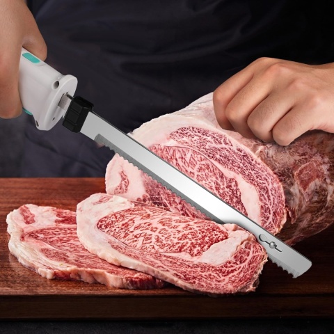 HAUSHOF 8V Zestaw noży elektrycznych bezprzewodowych + widelec etui