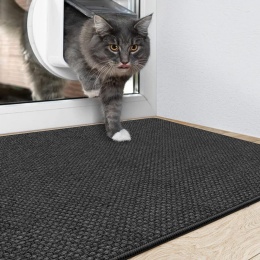 DEXI Wycieraczka do drzwi wejściowych, 92 x 142 cm, antypoślizgowa