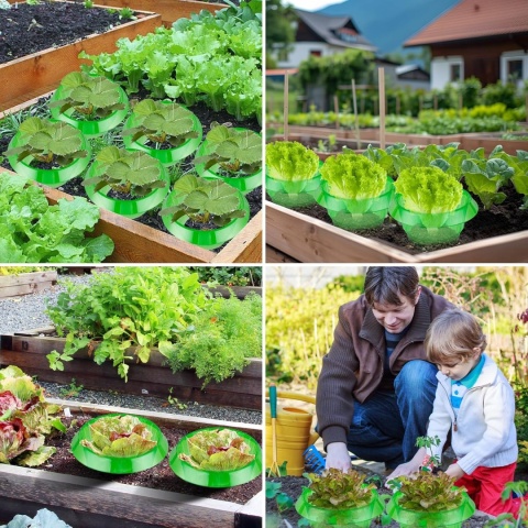 25 sztuk kołnierzy plastikowych przeciw ślimakom, do sałaty i kapusty XL