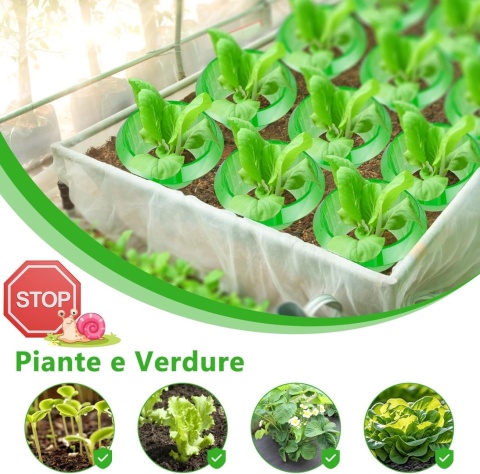 25 sztuk kołnierzy plastikowych przeciw ślimakom, do sałaty i kapusty XL