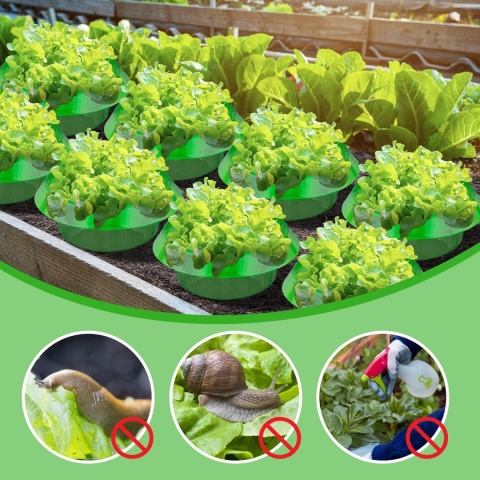 25 sztuk kołnierzy plastikowych przeciw ślimakom, do sałaty i kapusty XL