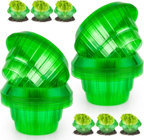 25 sztuk kołnierzy plastikowych przeciw ślimakom, do sałaty i kapusty XL