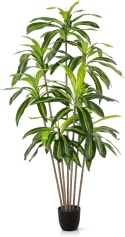Sztuczna Palma AREKA Drzewko Sztuczne Kwiaty Stroik 180cm Duży Liść