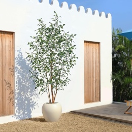 Duże Sztuczne Drzewko Figowe Fikus 240 cm z Białą Doniczką Figowiec KAZEILA