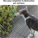 JMIATRY zestaw 32 sztuk kratek z kolcami, 20 x 40 cm ochrona przed kotami