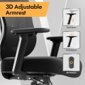 Ergonomiczne Krzesło Biurowe z Podparciem Lędźwiowym 3D HOLLUDLE