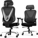 Ergonomiczne Krzesło Biurowe z Podparciem Lędźwiowym 3D HOLLUDLE