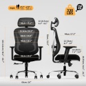 Ergonomiczne Krzesło Biurowe z Podparciem Lędźwiowym 3D HOLLUDLE