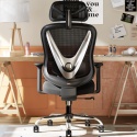 Ergonomiczne Krzesło Biurowe z Podparciem Lędźwiowym 3D HOLLUDLE