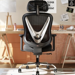 Ergonomiczne Krzesło Biurowe z Podparciem Lędźwiowym 3D HOLLUDLE