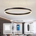 50cm Lampa Wisząca LED 48W Z Funkcją ściemniania 2700K-6500K z pilotem