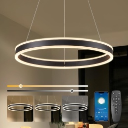 50cm Lampa Wisząca LED 48W Z Funkcją ściemniania 2700K-6500K z pilotem