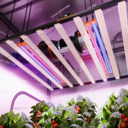 Listwa LED do uprawy roślin Spider Farmer UV60 IR30 UV/IR na rok 2025 - do hydroponiki