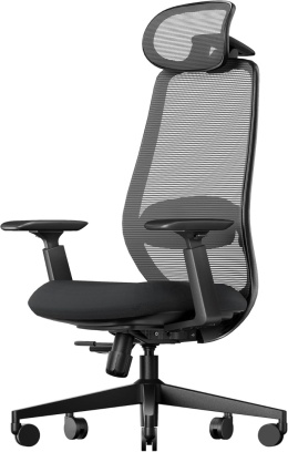 ProtoArc EC200 ergonomiczne krzesło biurowe, z regulacją #N