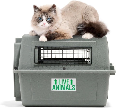 Petmate Transporter lotniczy Beeztees 715563 53 x 40 x 38 cm, szary IATA