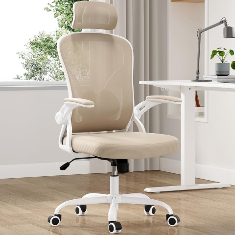 Farini Ergonomiczne krzesło z podłokietnikami do biura na kółkach