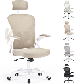 Farini Ergonomiczne krzesło z podłokietnikami do biura na kółkach