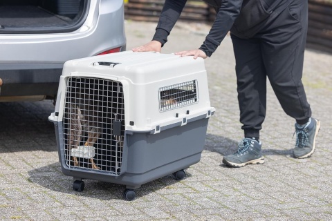 KARLIE Flugzeugbox Nomad L Transporter Dla Zwierząt 81x56x59cm Do 25kg