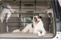 PetSafe Happy Ride metalowa bariera dla psa - przezroczysta konstrukcja rurowa