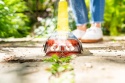 Wypalarka do chwastów elektryczna 1100 W GLORIA Thermoflamm bio Fix