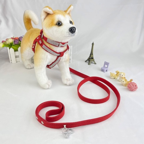 Newtensina Urocza obroża dla psa z uprzężą i smyczą Czerwony - XS