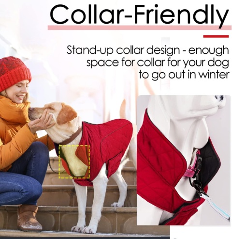 ThinkPet płaszcz dla psa XL, wodoodporny, wiatroszczelny, dwustronny